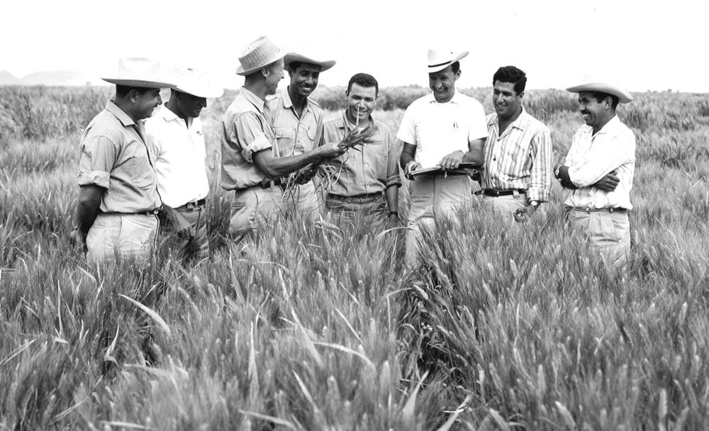 Dr Norman Borlaug
